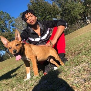 Meet your Posher, James